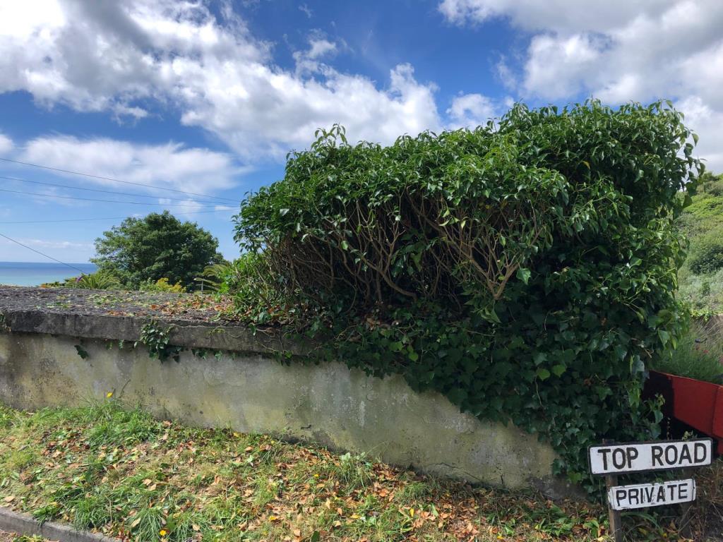 Lot: 106 - FORMER SHELTER WITH POTENTIAL AND PRIVATE PARKING SPACE - View towards the sea from the shelter